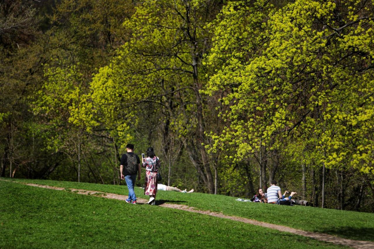 Panoramic Comfort In The Luxurious Green District! 布达佩斯 外观 照片